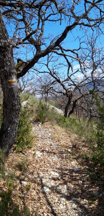 Gites Les Costoliers Chateauneuf-Miravail Экстерьер фото
