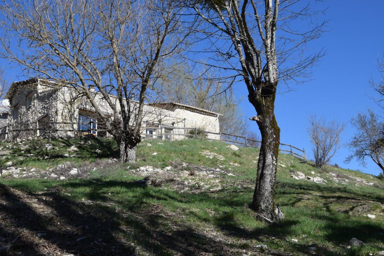 Gites Les Costoliers Chateauneuf-Miravail Экстерьер фото